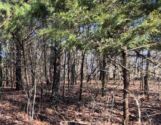 9 Lodge Point Road, South Pittsburg, TN 37380