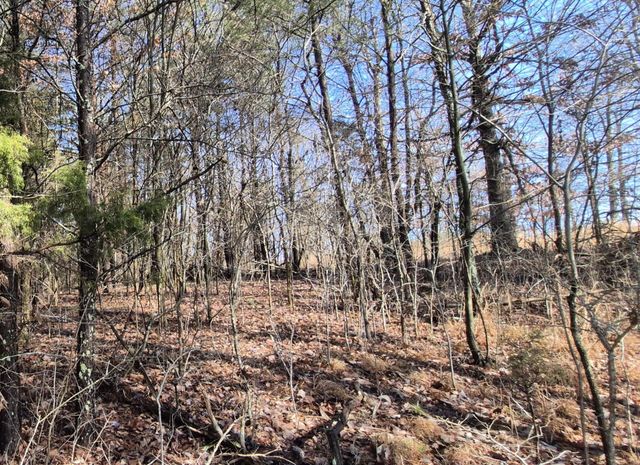 9 Lodge Point Road, South Pittsburg, TN 37380