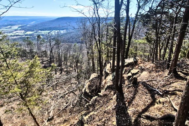 9 Lodge Point Road, South Pittsburg, TN 37380