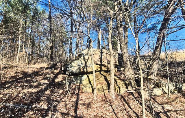 9 Lodge Point Road, South Pittsburg, TN 37380