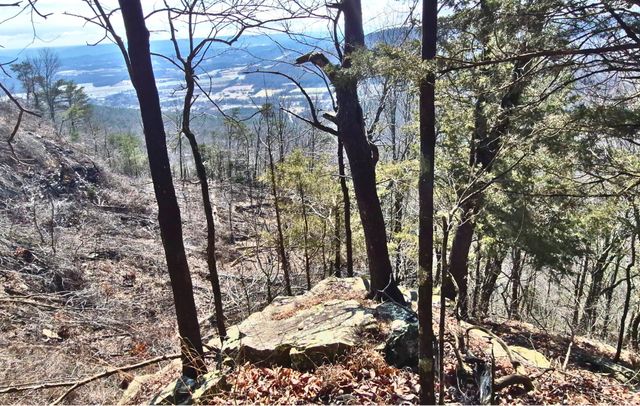 9 Lodge Point Road, South Pittsburg, TN 37380