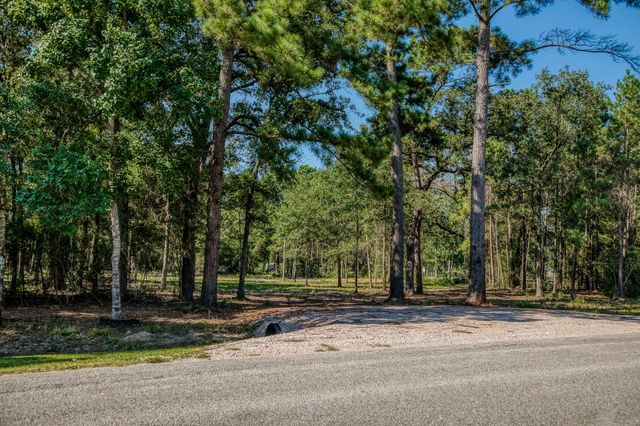 31801 Reids Prairie Road, Waller, TX 77484