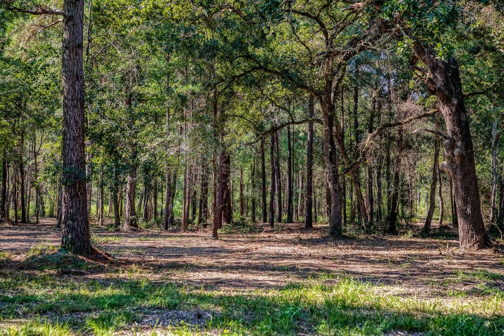 31801 Reids Prairie Road, Waller, TX 77484