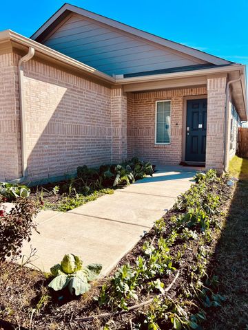 13120 Roving PASS, Elgin, TX 78621