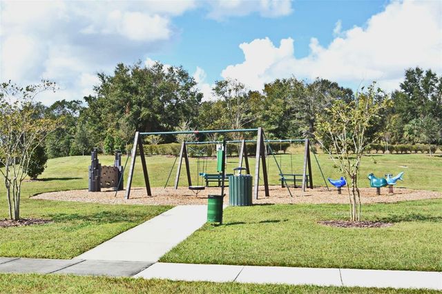 1237 LIMBALI STREET, Mount Dora, FL 32757