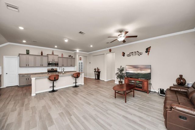 28634 Monarch Cliffs Drive, Fulshear, TX 77441