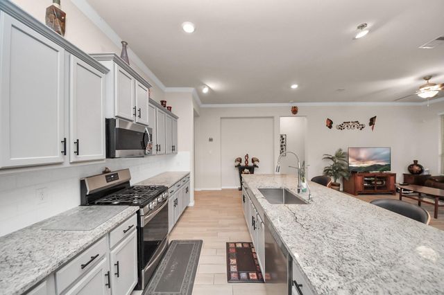 28634 Monarch Cliffs Drive, Fulshear, TX 77441