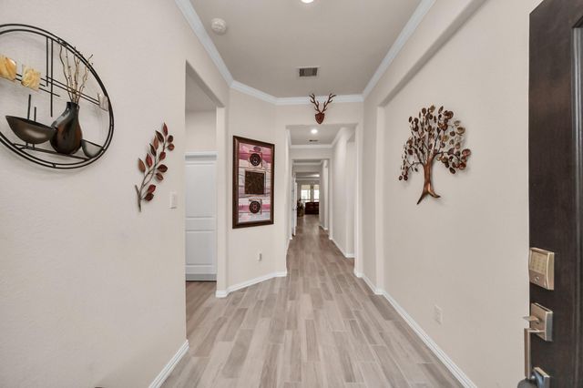 28634 Monarch Cliffs Drive, Fulshear, TX 77441