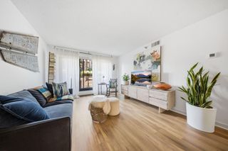 48 Groveland Terrace B204, Minneapolis, MN 55403