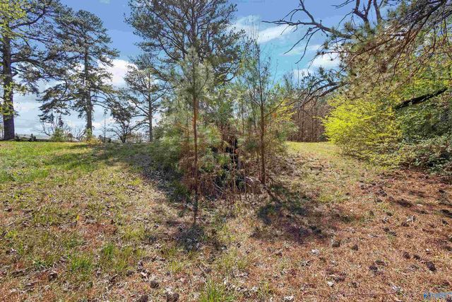 1247 Eva Road, Eva, AL 35621