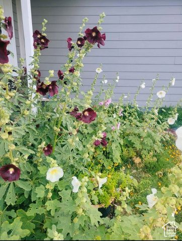 46501 W BANDANNA DR, Fruitland, UT 84027