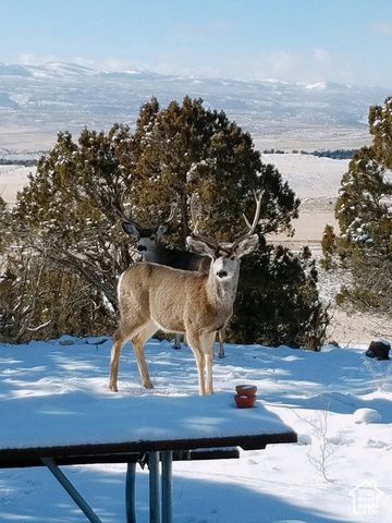 46501 W BANDANNA DR, Fruitland, UT 84027