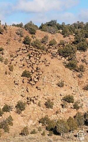 46501 W BANDANNA DR, Fruitland, UT 84027