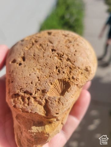 46501 W BANDANNA DR, Fruitland, UT 84027