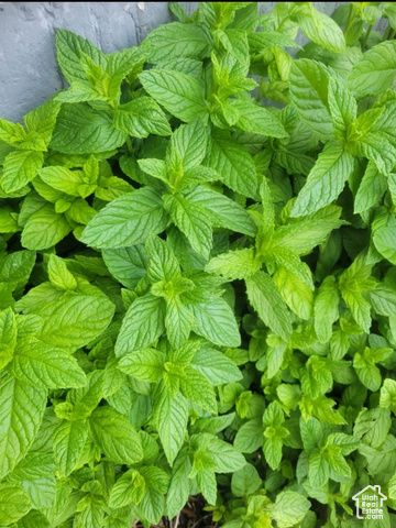 46501 W BANDANNA DR, Fruitland, UT 84027