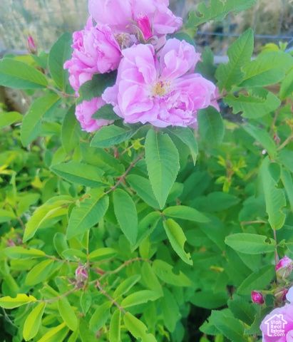 46501 W BANDANNA DR, Fruitland, UT 84027