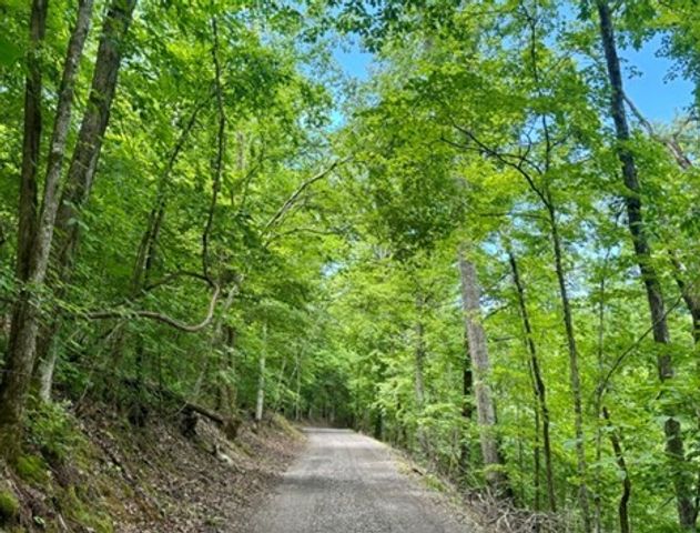 9184 Hester Beasley Rd, Nashville, TN 37221