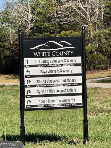 0 Adair Mill Road, Cleveland, GA 30528