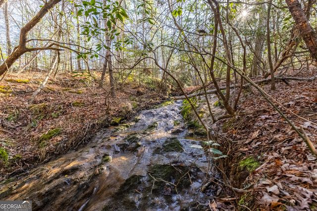 0 Adair Mill Road, Cleveland, GA 30528