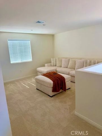 28316 Golden Spring, Nuevo, CA 92567