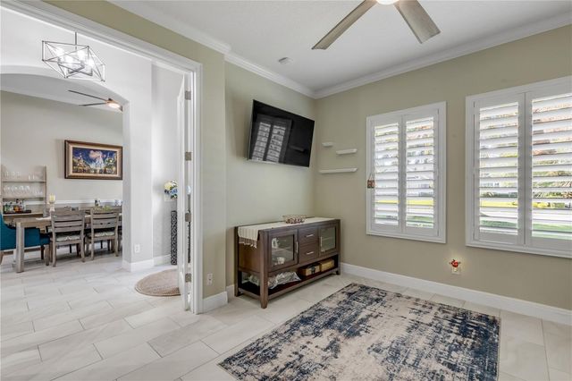 3029 ISOLA BELLA BOULEVARD, Mount Dora, FL 32757