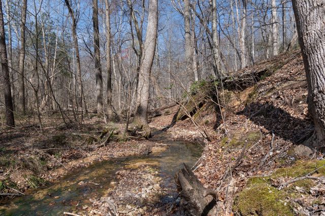 1300 New Sheboss Road, Duck River, TN 38454