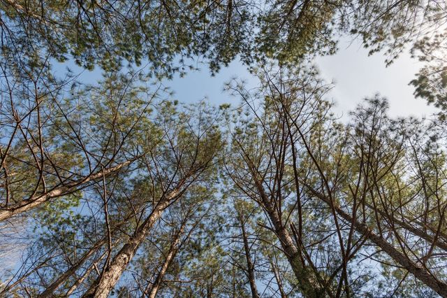 1300 New Sheboss Road, Duck River, TN 38454