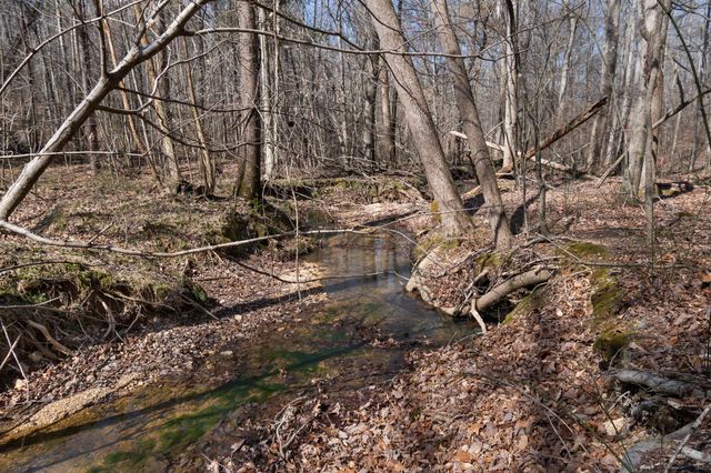 1300 New Sheboss Road, Duck River, TN 38454