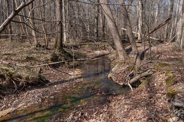 1300 New Sheboss Road, Duck River, TN 38454