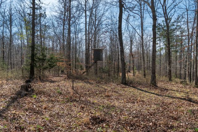 1300 New Sheboss Road, Duck River, TN 38454