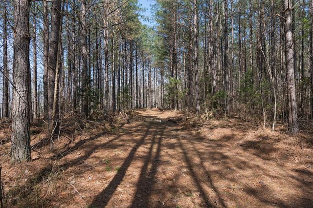 1300 New Sheboss Road, Duck River, TN 38454