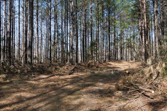 1300 New Sheboss Road, Duck River, TN 38454