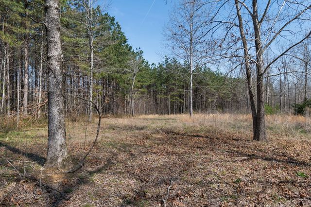 1300 New Sheboss Road, Duck River, TN 38454