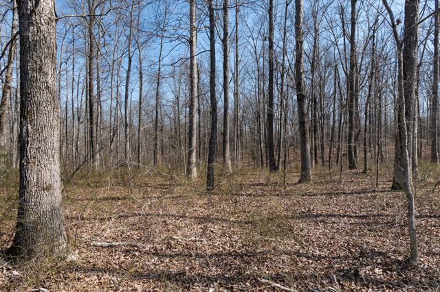 1300 New Sheboss Road, Duck River, TN 38454