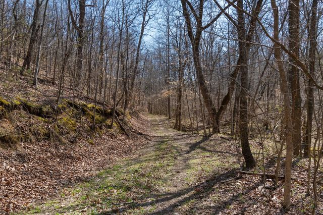 1300 New Sheboss Road, Duck River, TN 38454