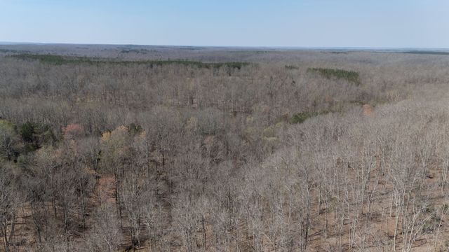 1300 New Sheboss Road, Duck River, TN 38454