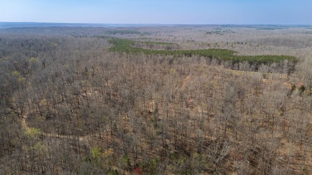 1300 New Sheboss Road, Duck River, TN 38454