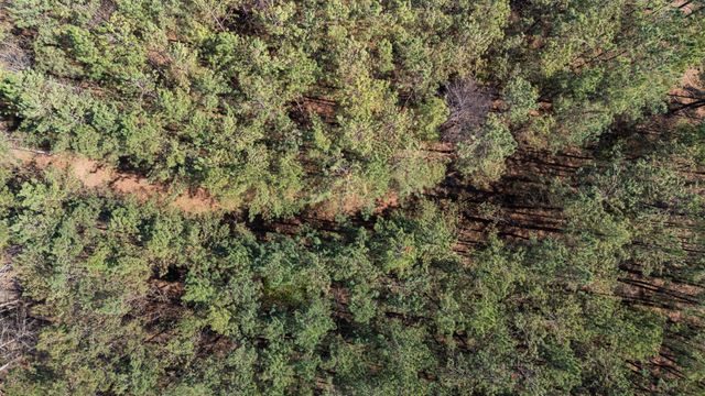 1300 New Sheboss Road, Duck River, TN 38454