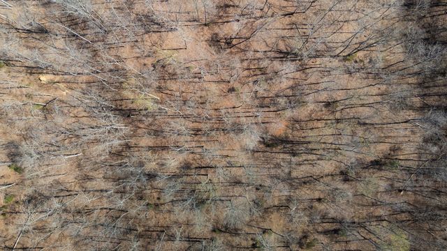 1300 New Sheboss Road, Duck River, TN 38454