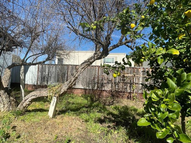 516 Bird Avenue, San Jose, CA 95125