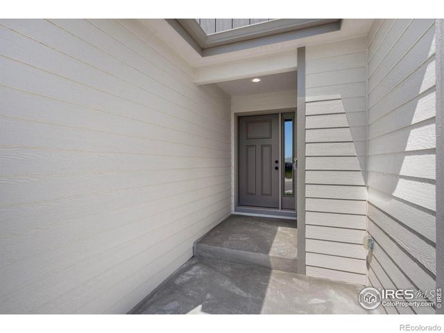 6997 Feather Reed Drive, Wellington, CO 80549