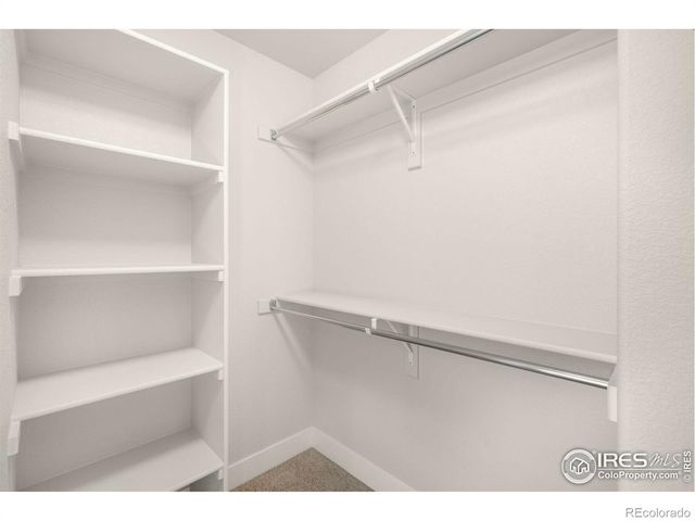 6997 Feather Reed Drive, Wellington, CO 80549