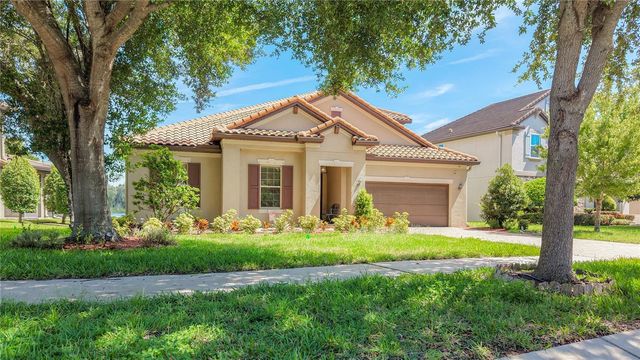 1107 ISOBEL RESERVE LANE, Tampa, FL 33613