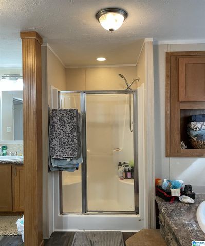 2506 WOOLFOLK ROAD, Munford, AL 36268