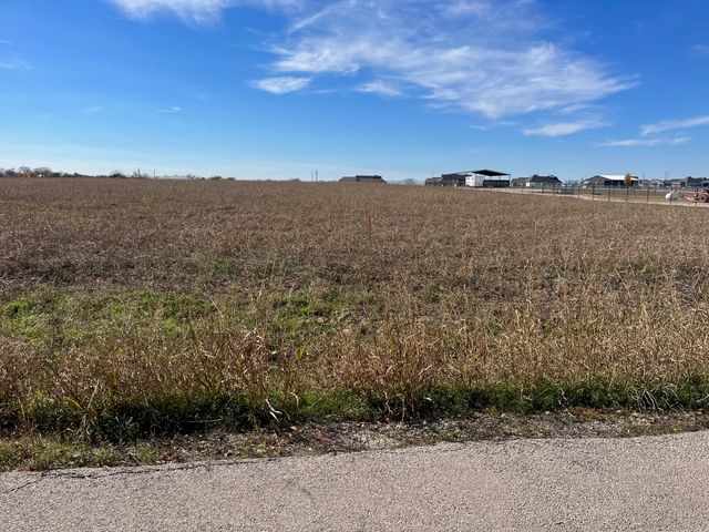 268 Chambers Creek Trail, Alvarado, TX 76009