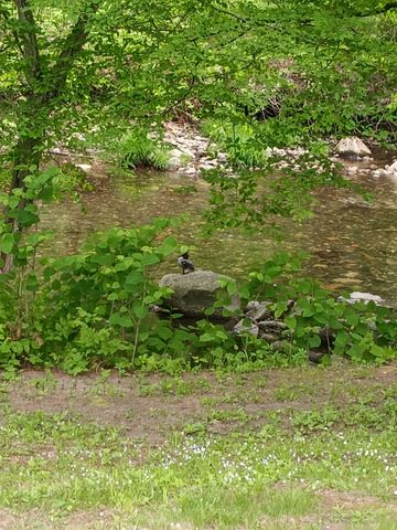 40 Brookside Dr Unit 6, Brattleboro, VT 05301