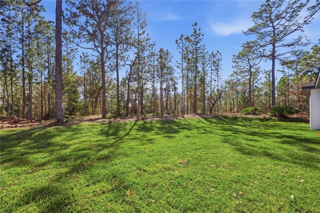 1349 CR 243 A, Wildwood, FL 34785