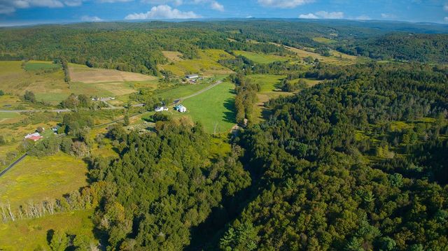 1022 Shapley Road, Guilford, NY 13733