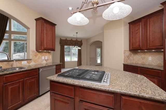 12210 Hallowed Oaks, Magnolia, TX 77354