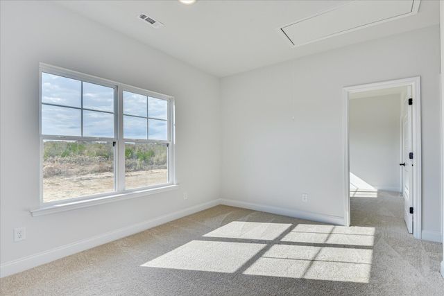 3203 Tracker Lane, Warrenville, SC 29851